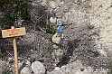 VBS_3244 - Mango (Cuneo) - Gnomovia